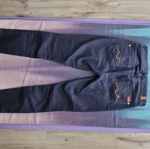 7 for all Mankind the Skinny jean 7fam